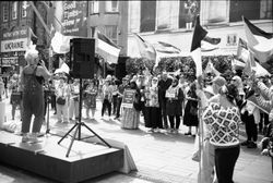 A cover image for the collection Palestine Protest 16/8/25